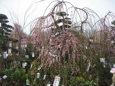 f0139520_17473870.jpg