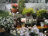 f0139520_17492698.jpg