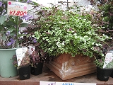 f0139520_17494455.jpg