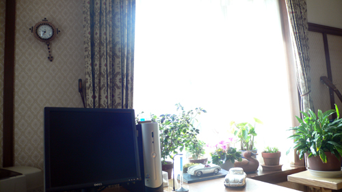 f0060424_10534517.jpg