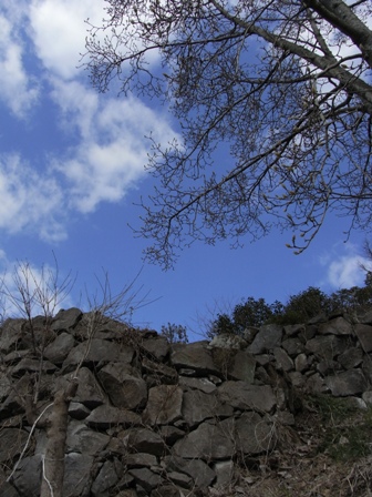 b0182030_2058427.jpg