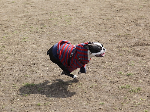 c0209932_21413669.jpg