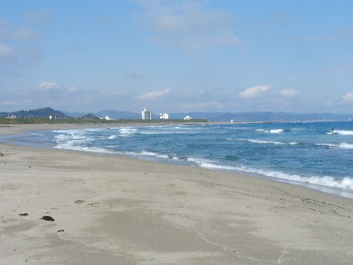 f0002833_23282946.jpg