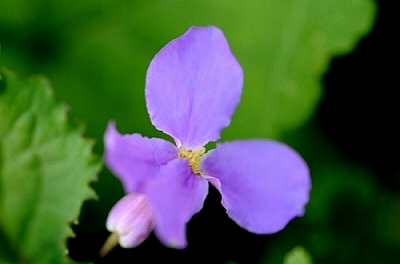 a0017634_20393941.jpg