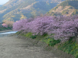 f0061334_2112094.jpg