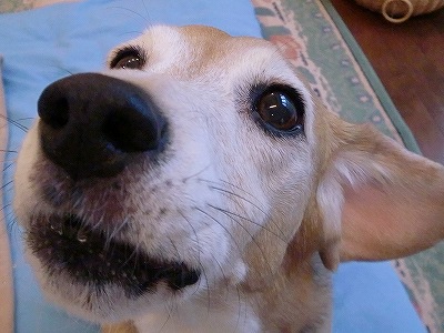 a0169935_23554870.jpg