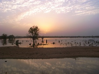 f0204737_16248.jpg