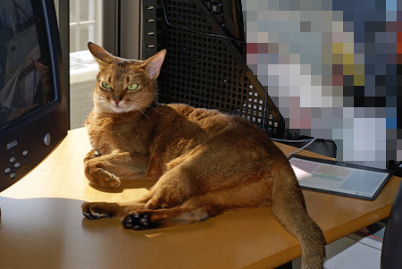 c0132438_18283970.jpg
