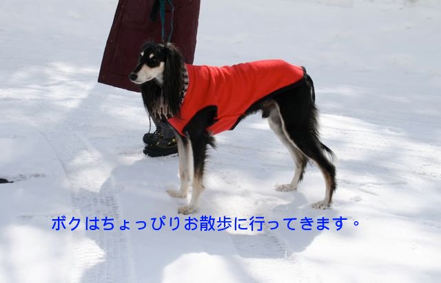 f0039538_21575441.jpg