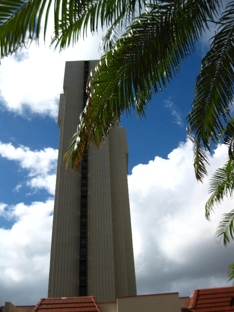 e0022439_11344852.jpg