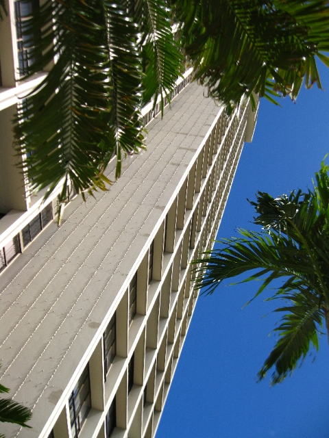 e0022439_11352833.jpg
