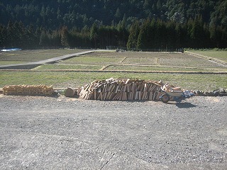 a0054948_23351587.jpg