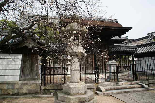 f0201348_22283351.jpg