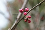 f0201348_22285577.jpg