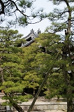 f0201348_22382854.jpg