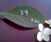 f0195549_619372.jpg