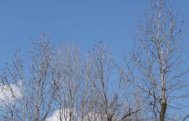 e0002850_22305779.jpg