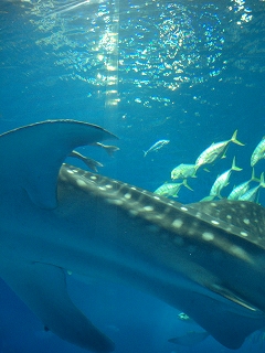 f0009451_15134399.jpg