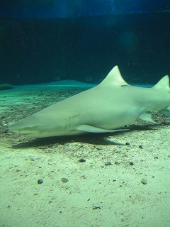 f0009451_15144560.jpg