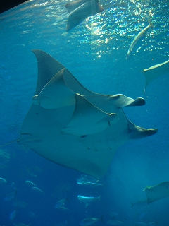 f0009451_15152311.jpg