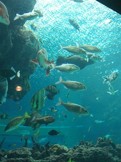 f0009451_15161445.jpg
