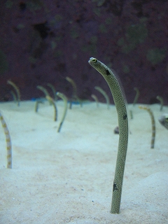 f0009451_15171162.jpg
