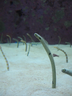 f0009451_15172134.jpg