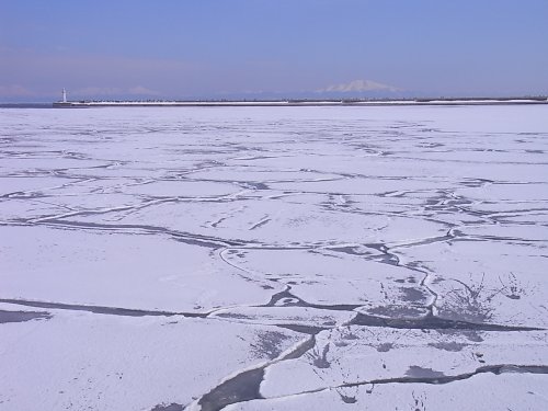 a0004359_22545154.jpg