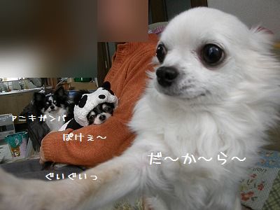 e0059267_19322710.jpg