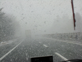 e0160568_1334056.jpg