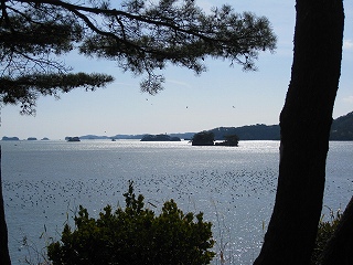e0160568_13445443.jpg