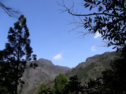 c0042869_19331479.jpg