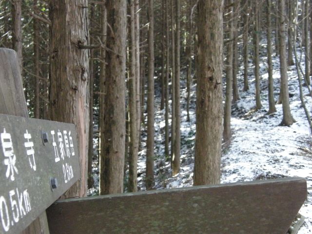 c0042869_19447100.jpg