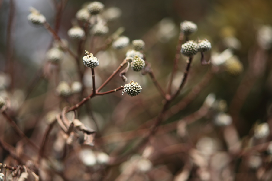 b0084270_311843.jpg