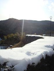 c0201371_16111918.jpg