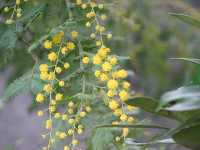 d0050472_1624938.jpg