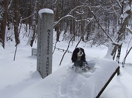 f0030875_024332.jpg