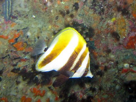 a0002177_2145464.jpg