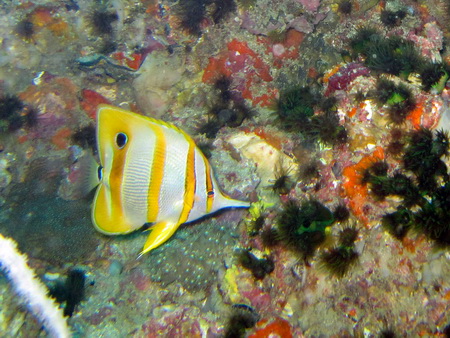 a0002177_21461847.jpg