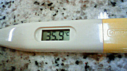 c0107180_2332370.jpg