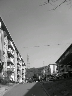 f0100480_20203530.jpg