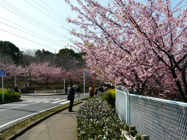 e0145782_18104092.jpg