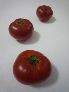 c0204383_1155157.jpg