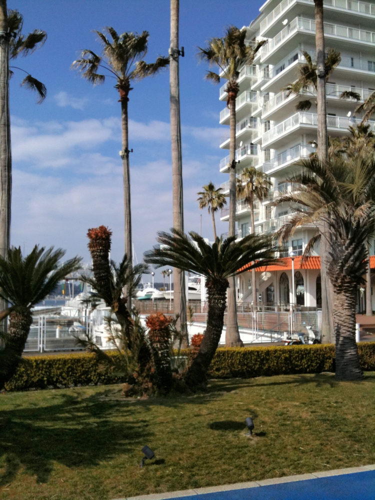 c0212283_11161514.jpg