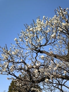 f0014183_13244536.jpg