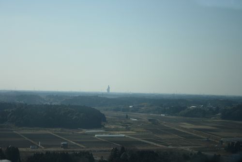 b0163486_995875.jpg