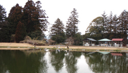 b0068687_215249100.jpg
