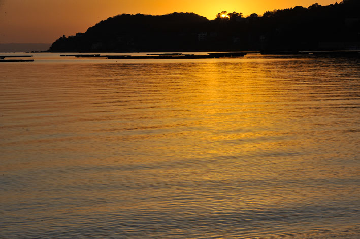 f0112087_1803435.jpg