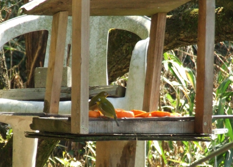 f0132391_23372238.jpg