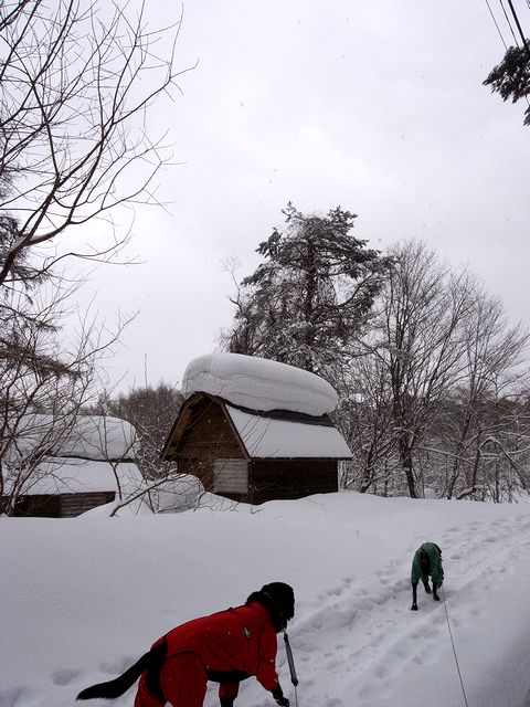 a0093592_0323989.jpg